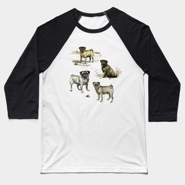 PUG DOGS Baseball T-Shirt by Biophilia